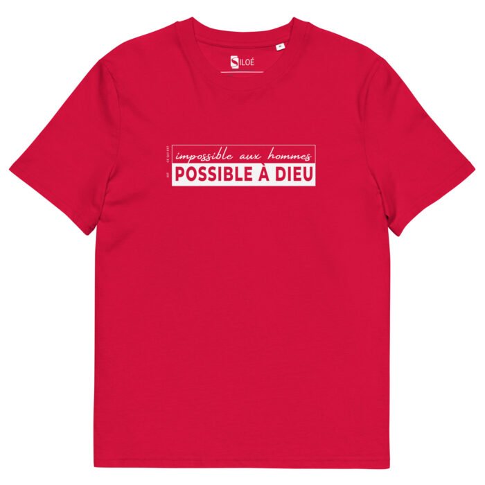 T-shirt chrétien homme “Possible à Dieu” | En couleurs – Image 16